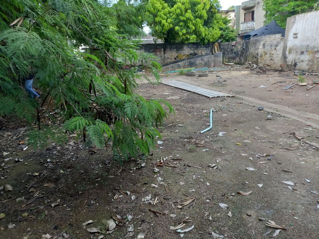 place photo 12