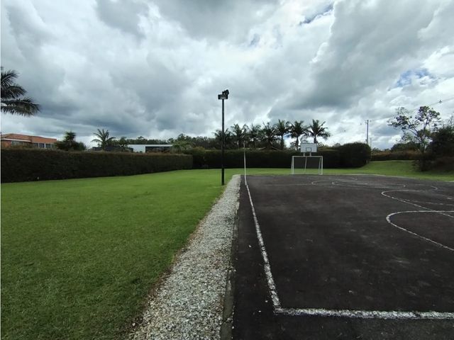 place photo 65