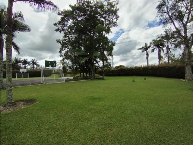 place photo 64
