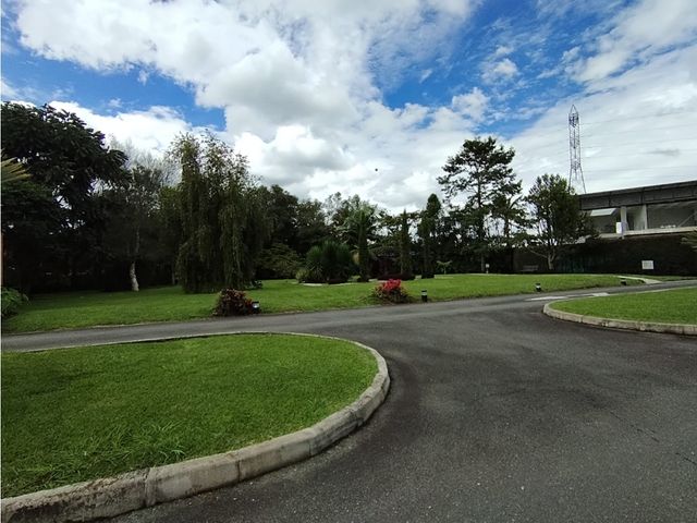 place photo 73