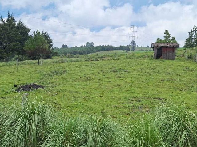 Se vende Terreno en San Miguel Topilejo