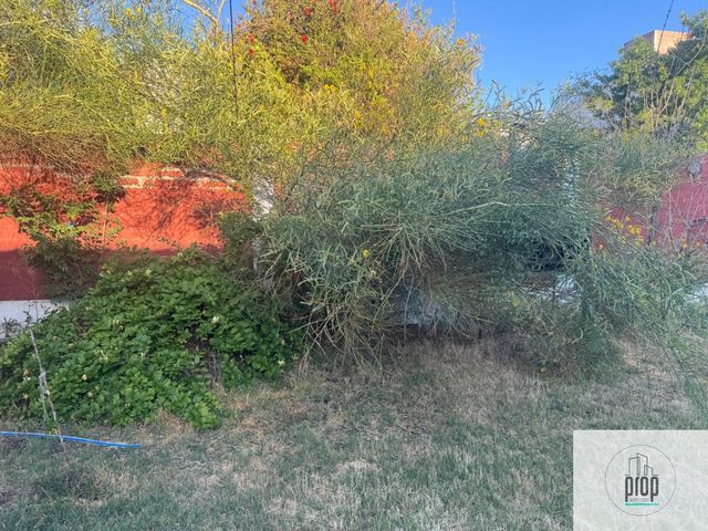 place photo 18