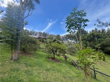 place photo 63