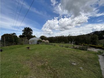 place photo 53