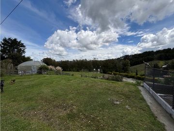 place photo 48