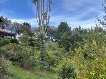 place photo 56