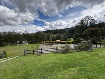 place photo 52