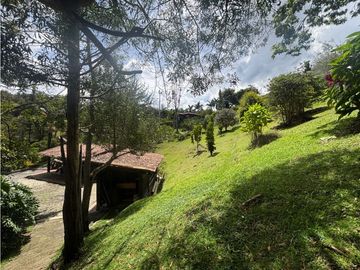 place photo 61