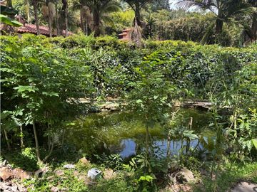 place photo 69