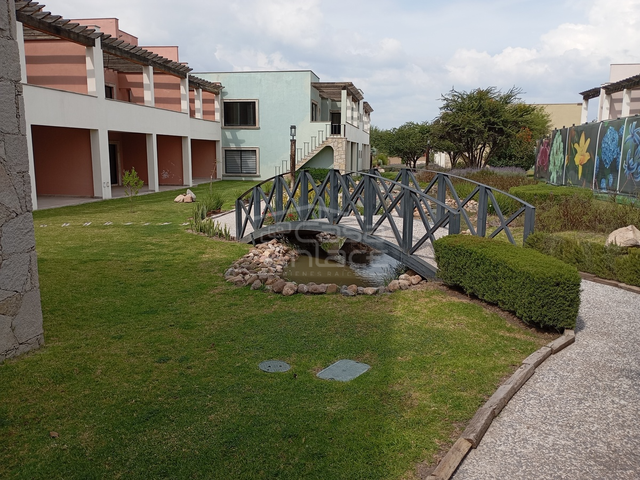 place photo 46