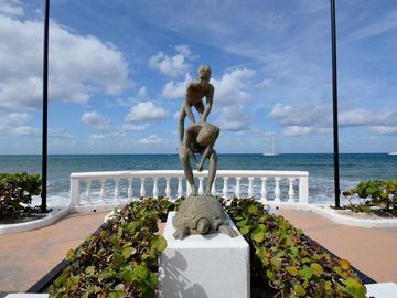 place photo 18
