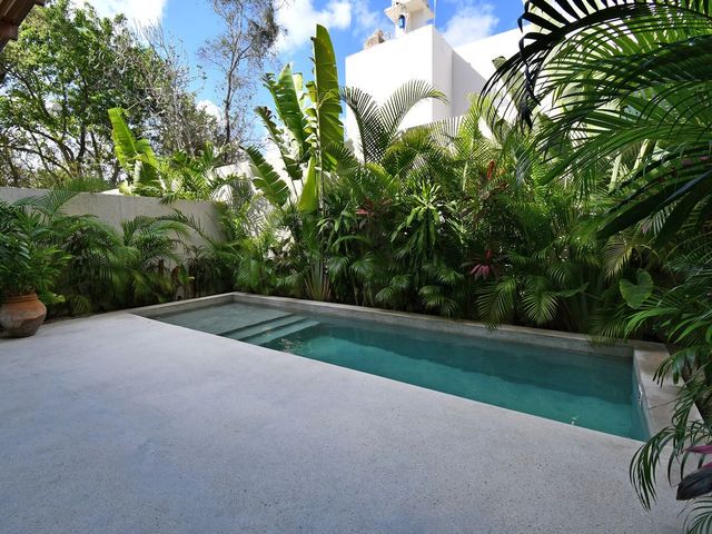 place photo 22