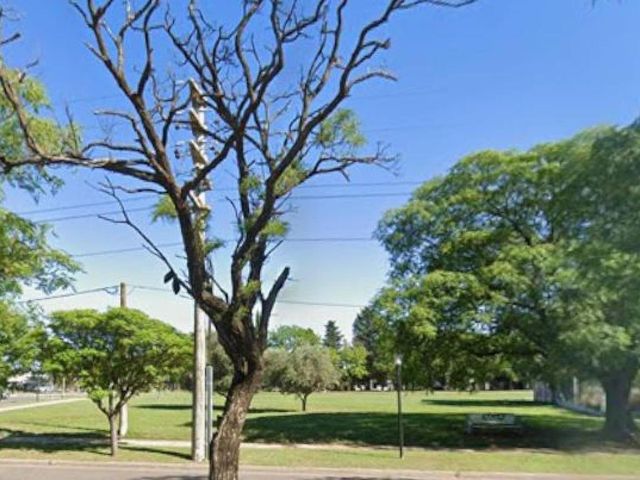 place photo 11