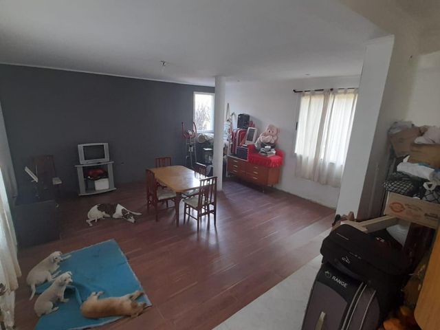 place photo 50