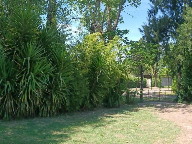 place photo 24