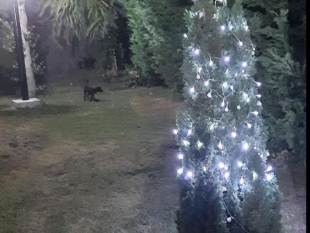 place photo 33