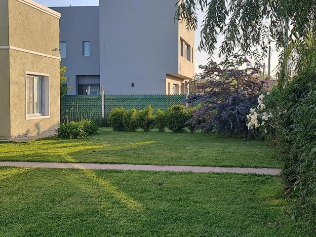 place photo 37