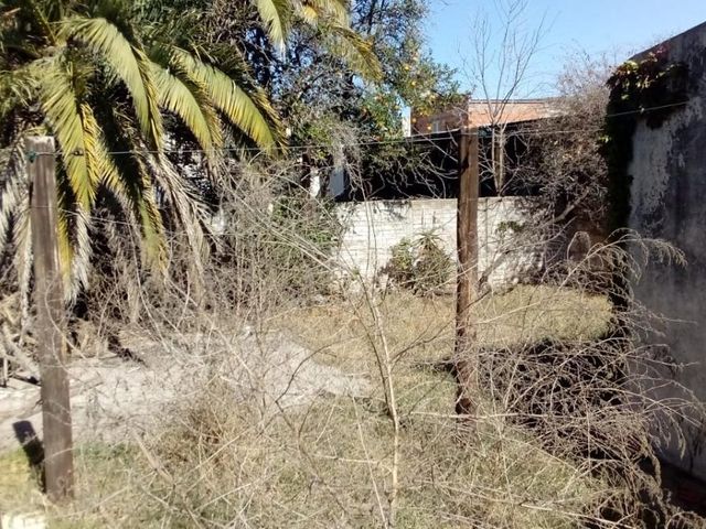 place photo 12