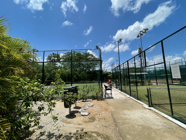 place photo 16
