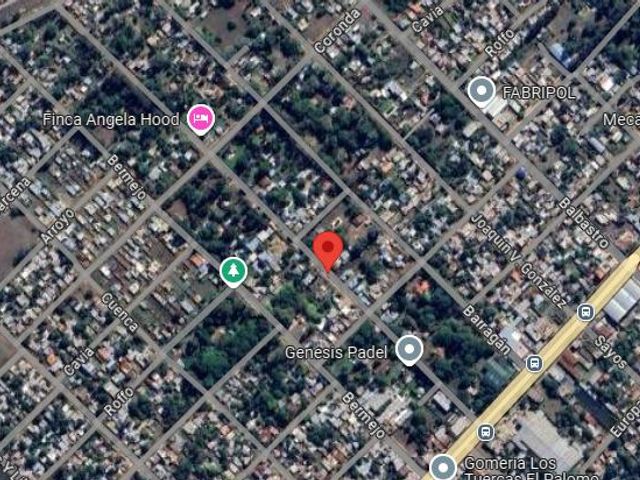 place photo 11
