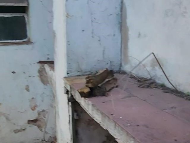 place photo 42