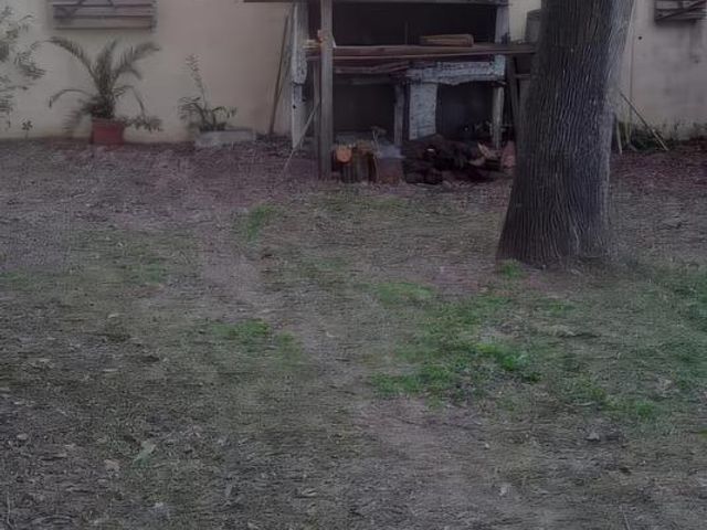 place photo 44