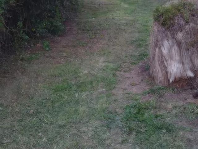 place photo 39