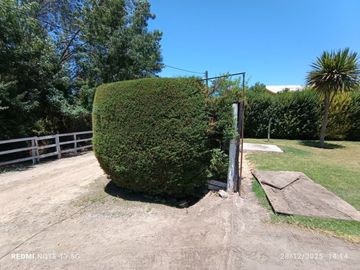 place photo 11