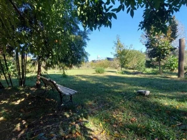 place photo 20