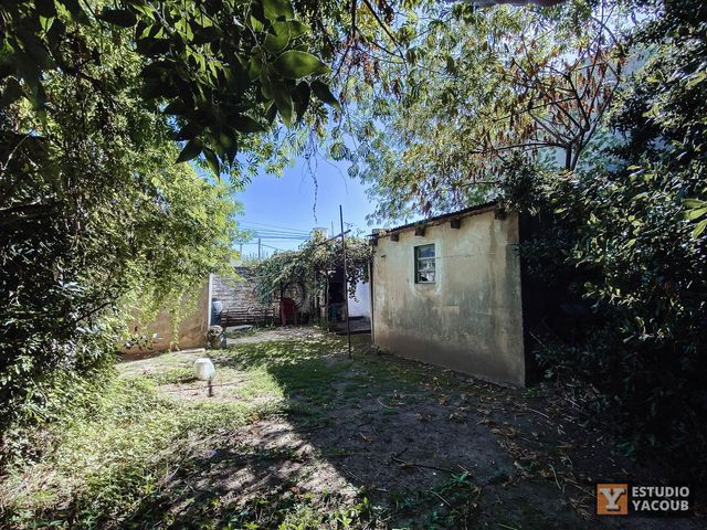 place photo 39