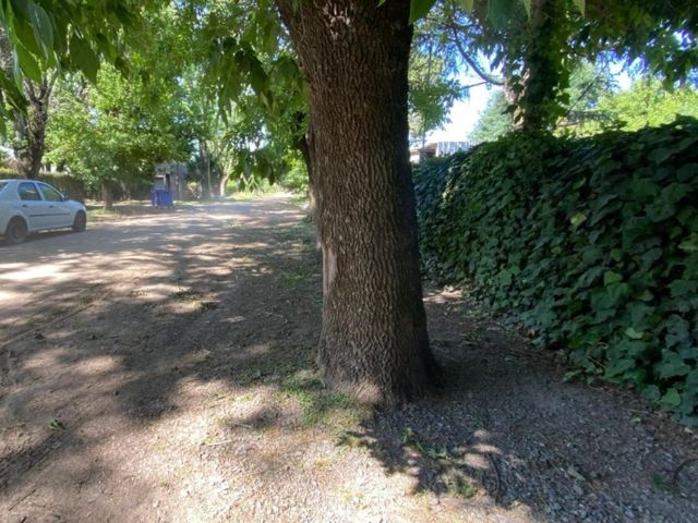 place photo 31