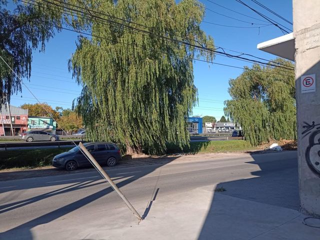 place photo 20