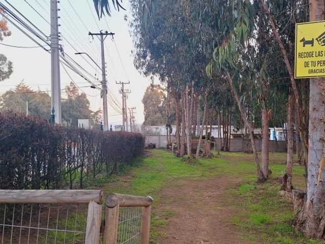 place photo 25