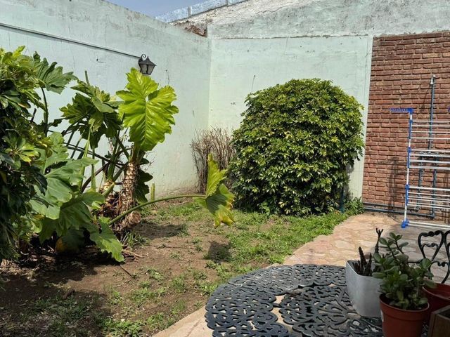 place photo 17