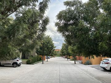 place photo 23