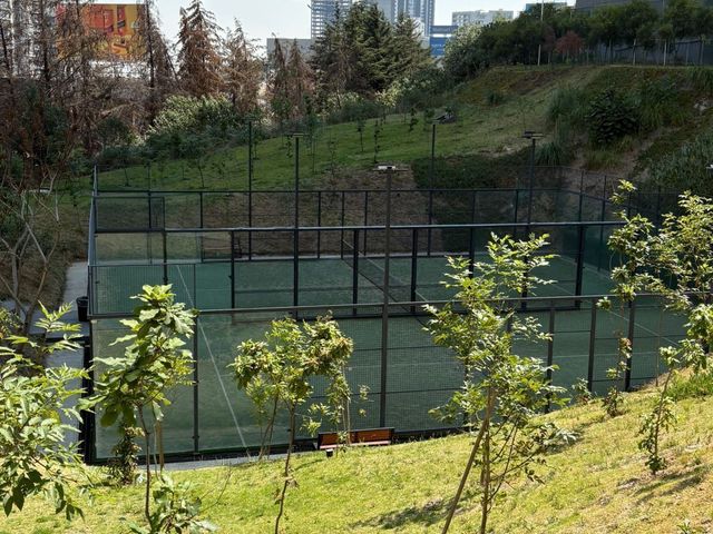 place photo 15