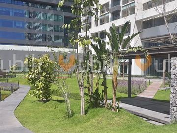 place photo 26