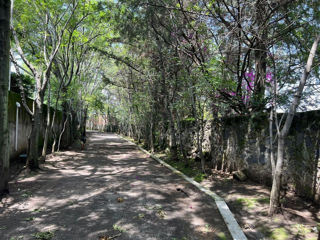 place photo 45