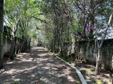 place photo 45
