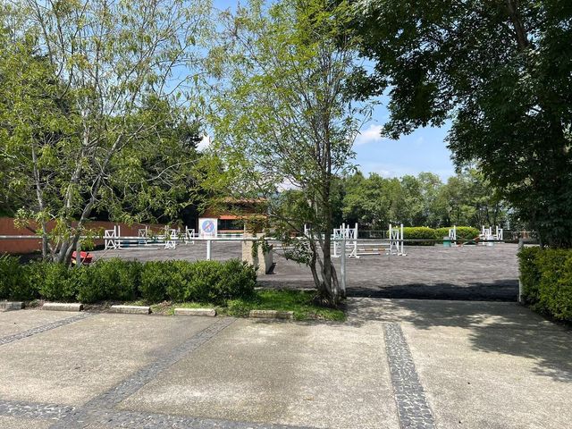 place photo 38