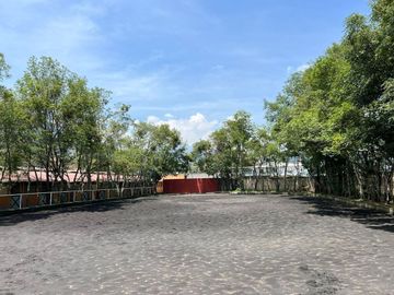 place photo 37