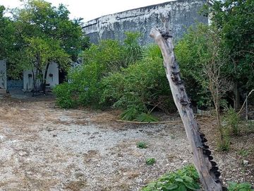 place photo 20