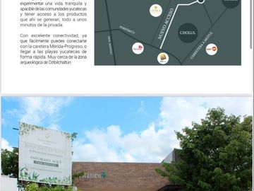 place photo 45