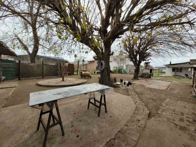 place photo 13