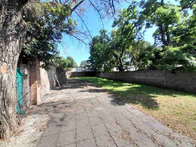 place photo 19
