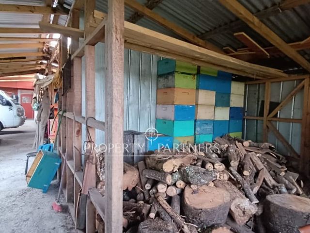 place photo 30