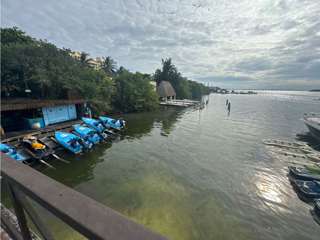 place photo 36