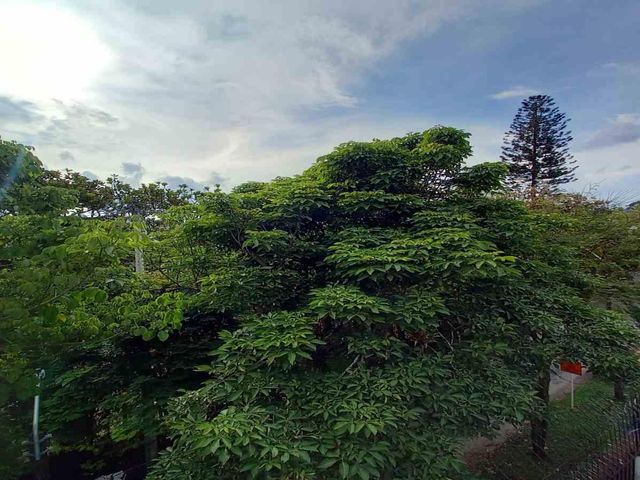 place photo 25