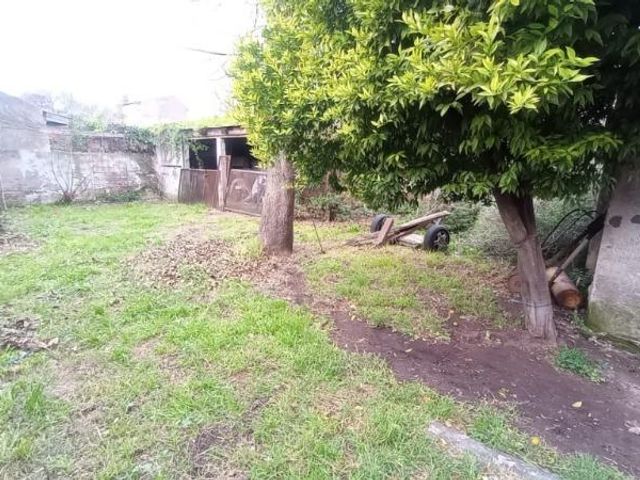 place photo 13
