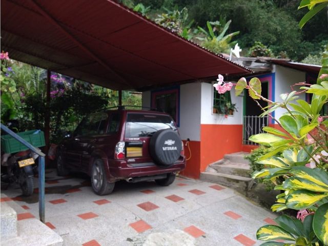 place photo 43